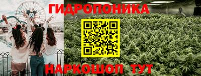 молекула духа Мариинск
