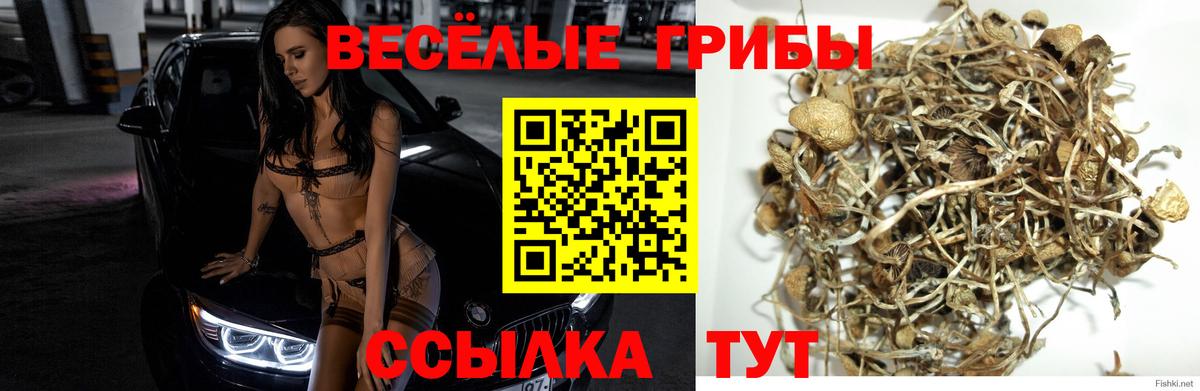 Псилоцибиновые грибы мухоморы Учалы